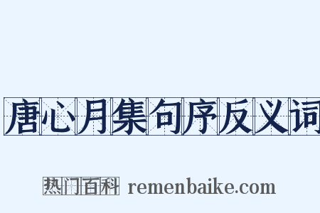 唐心月集句序反义词是什么意思的图片